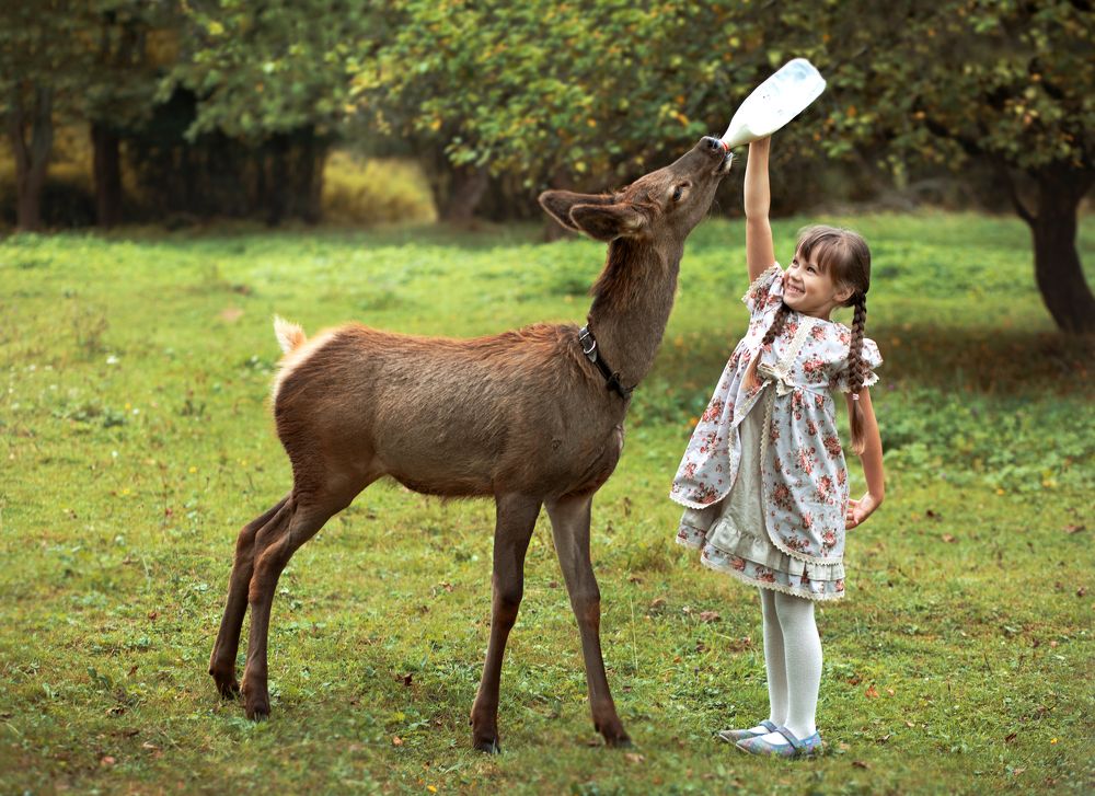 Photograph by Людмила Жбанова