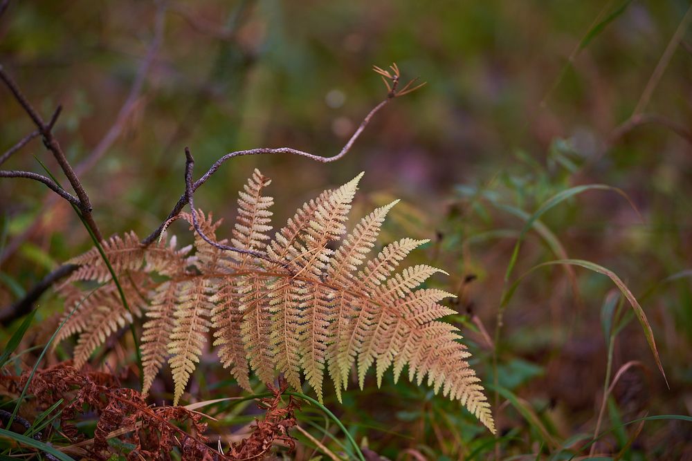Photograph by Мостовой Дмитрий