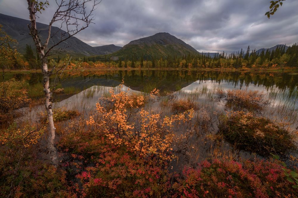 Photograph by Марина Мурашова