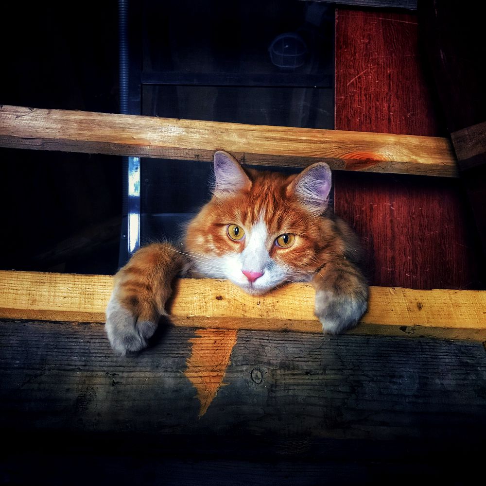 Photograph by Артемий