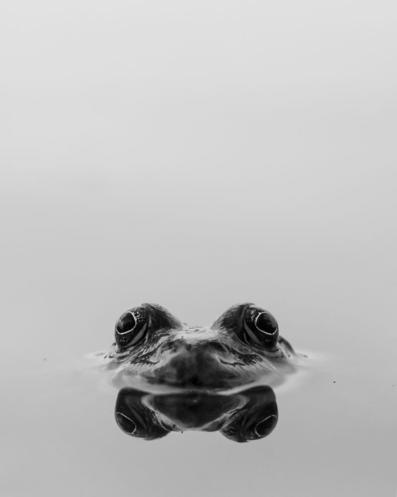 Фотография автора Сергей Затямин