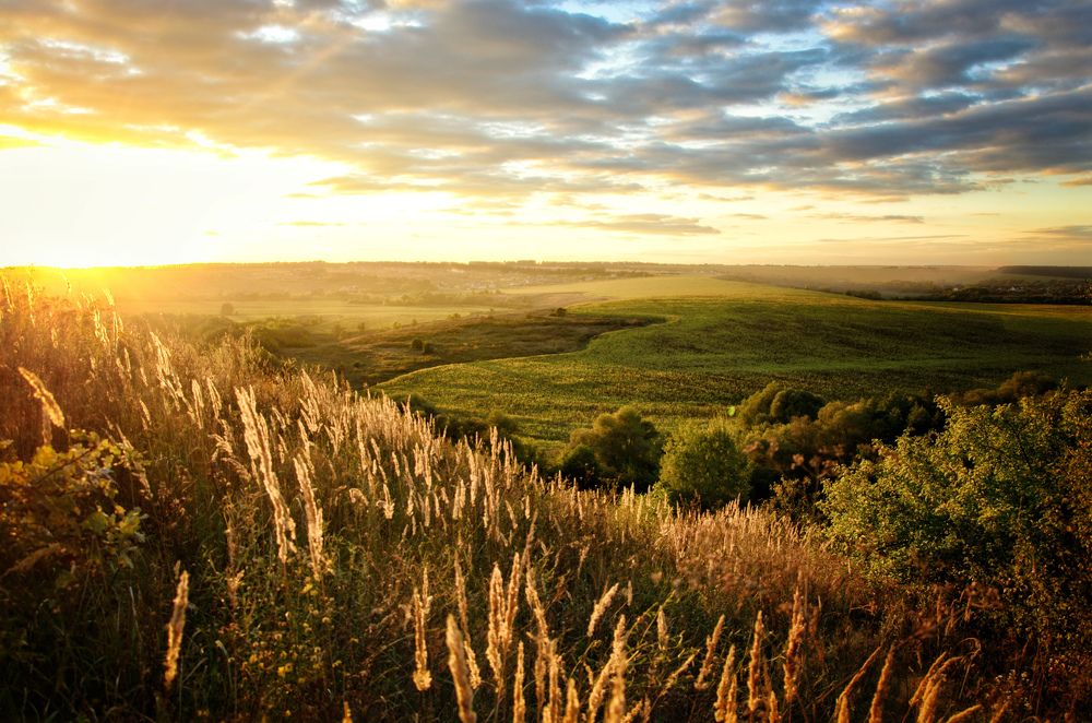 Photograph by Геннадий Глазнев