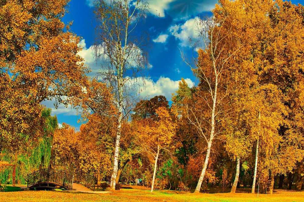 Photograph by Valentin Kayudin