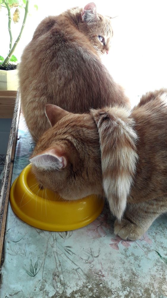 Photograph by Татьяна Солтан