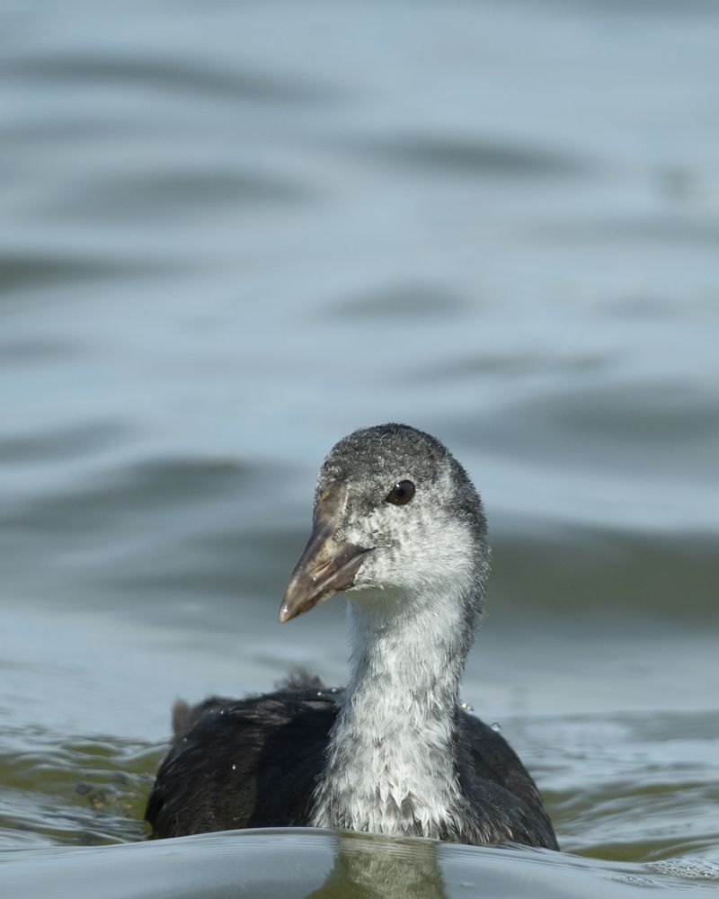 Фотография автора Сергей Затямин