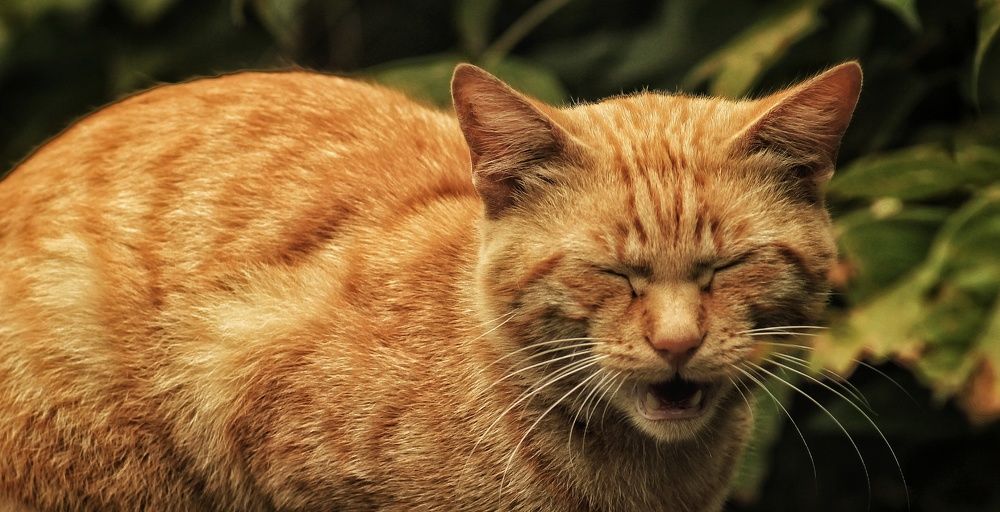 Photograph by Sergey Velichko