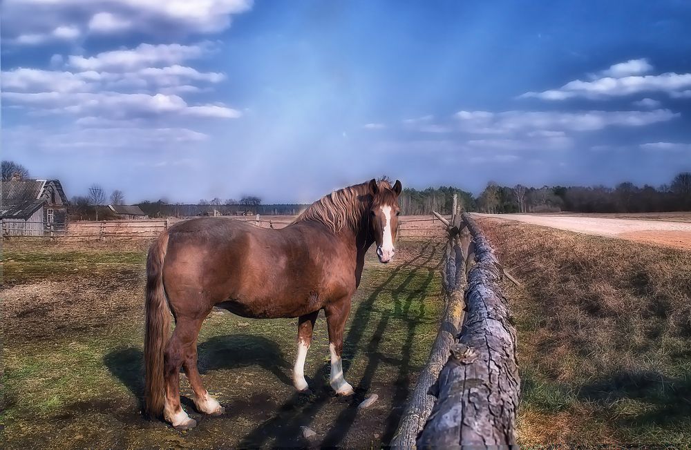 Фотография автора Юлия Кранина