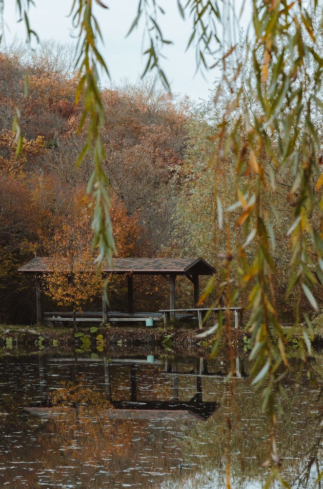 Photograph by Алина Петрушенко