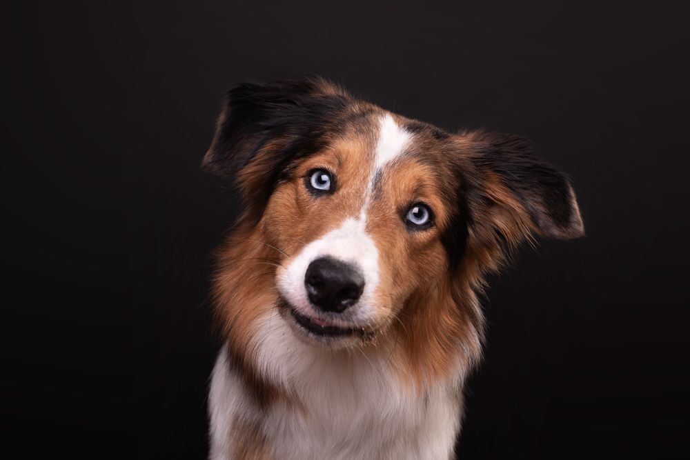 Photograph by наталья залогина