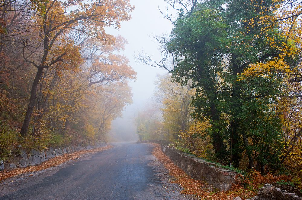 Photograph by Елена