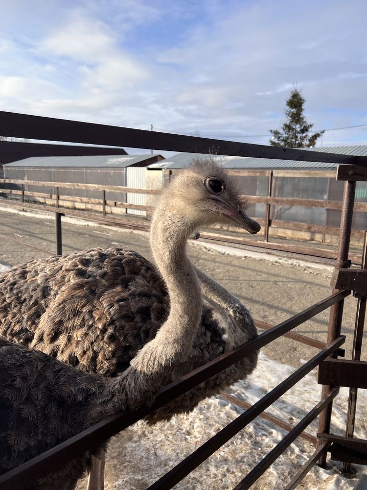 Photograph by Ольга Рачилова