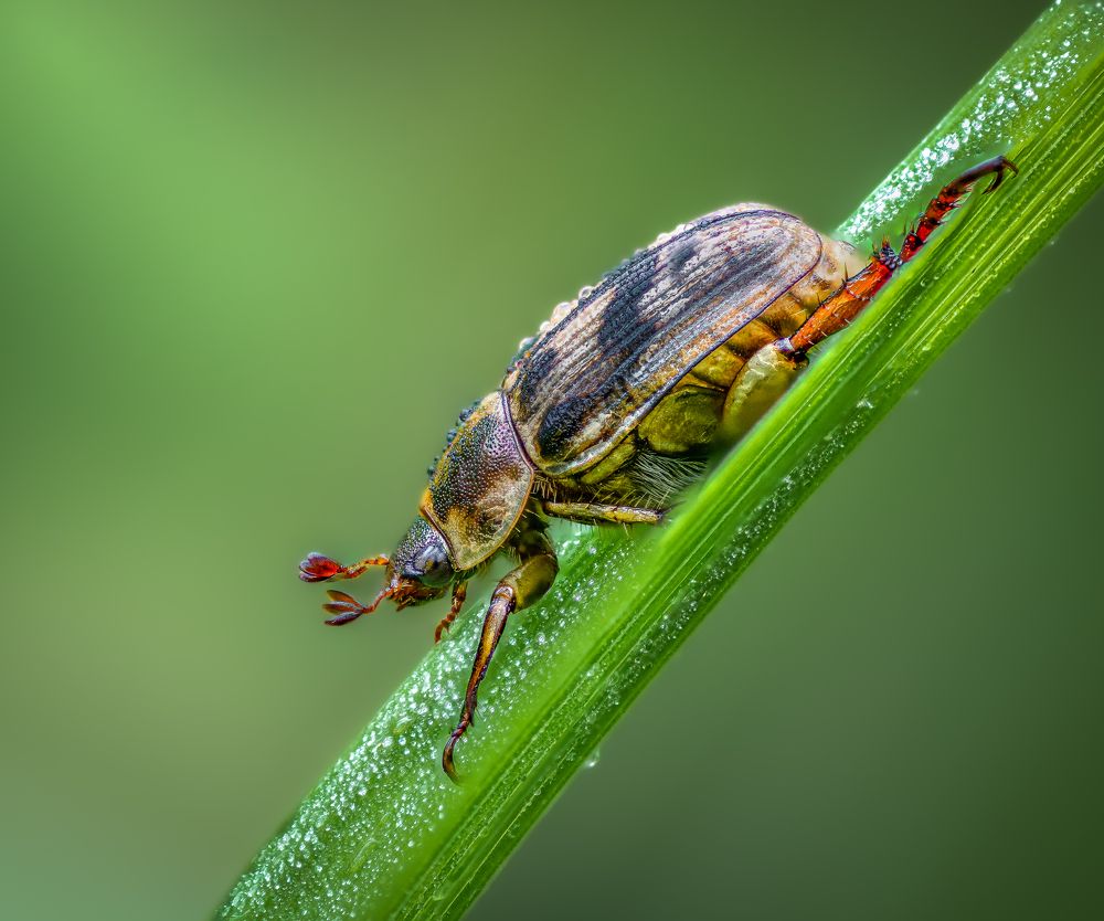 Photograph by Atul Saluja