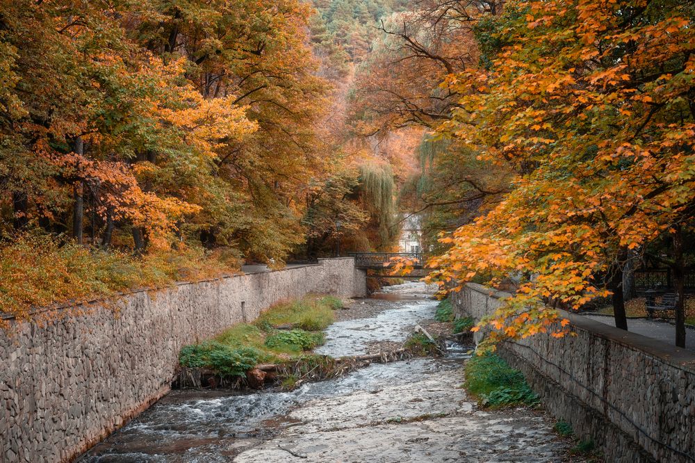 Photograph by Алена Устинович