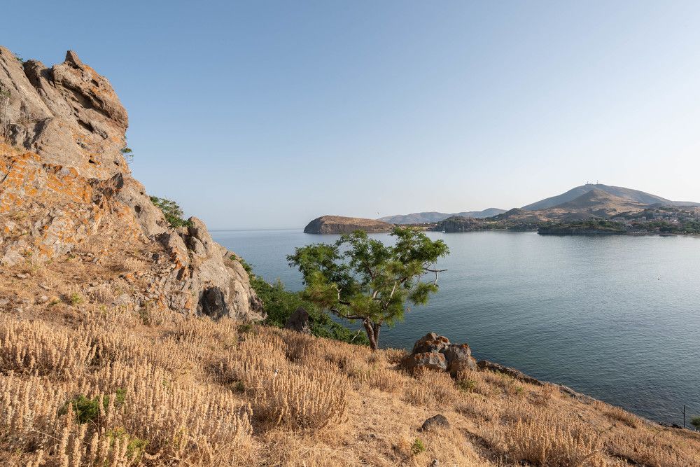 Фотография автора DIMITRIS MPAZIOTOPOULOS