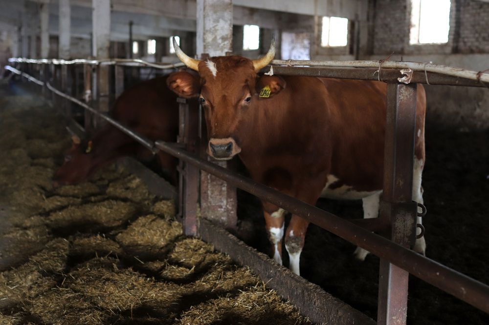 Photograph by Екатерина Самошкина