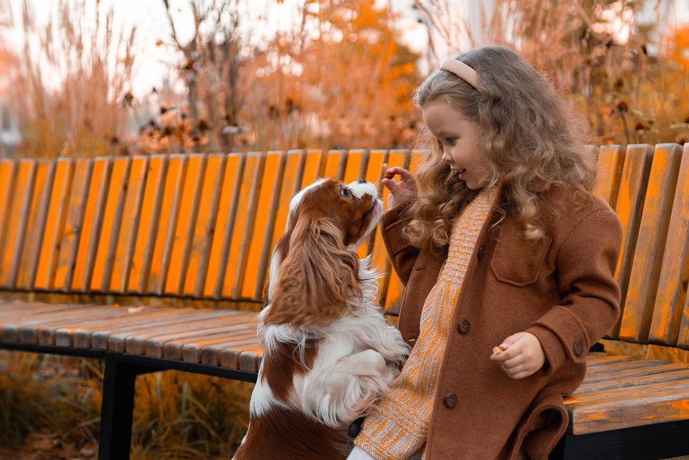 Photograph by Наталья Шубина