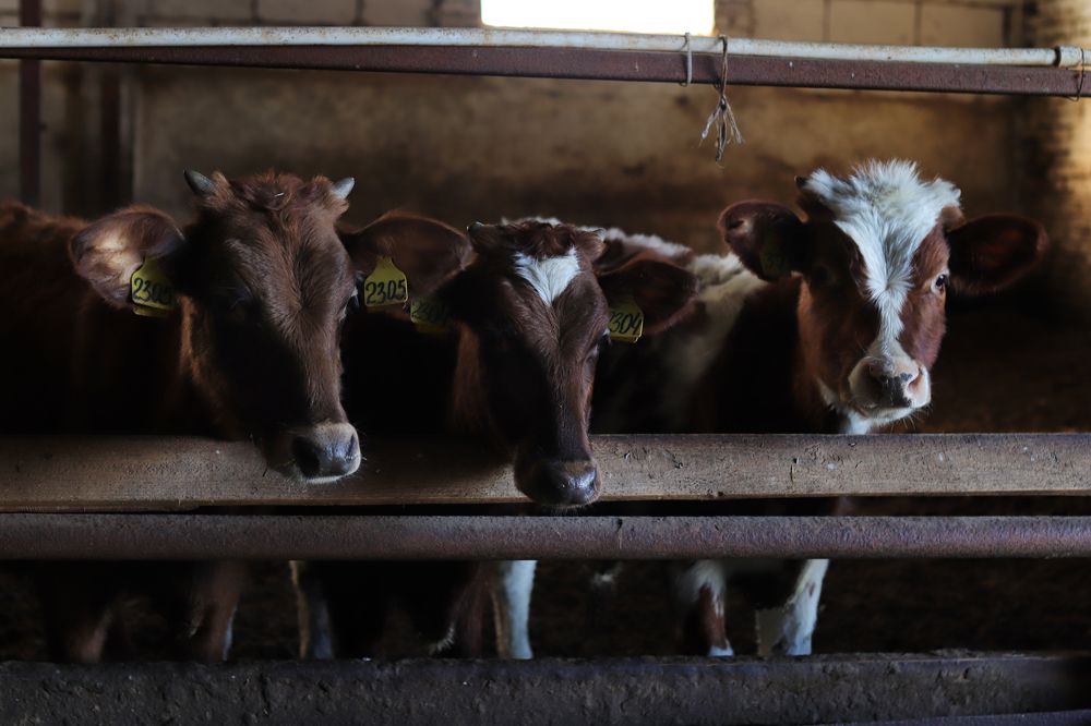 Photograph by Екатерина Самошкина