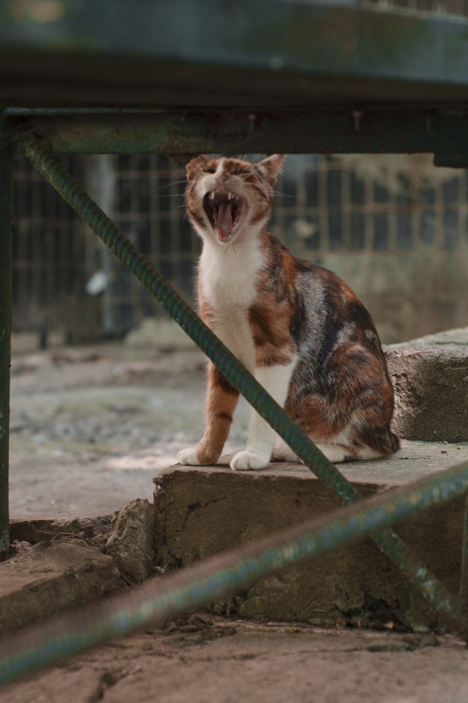 Photograph by Мария Мбуела