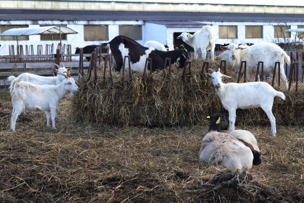 Photograph by Екатерина Самошкина