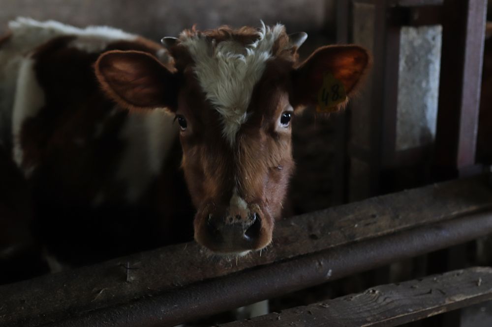 Photograph by Екатерина Самошкина