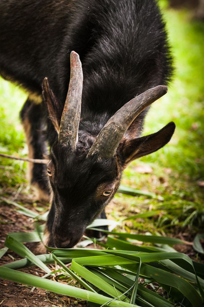 Photograph by Tatiana Teit Ash