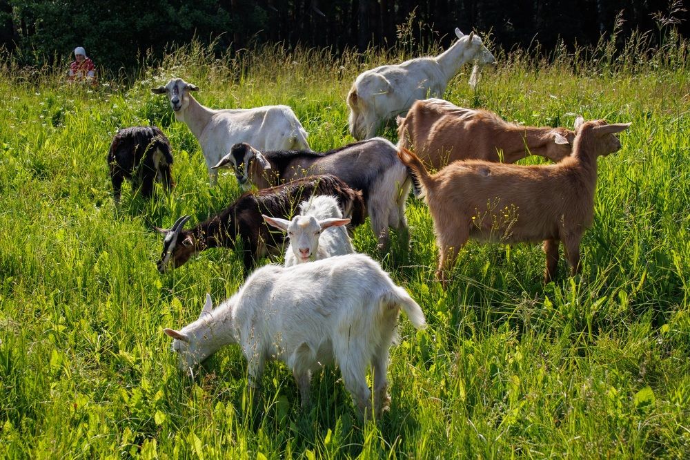 Photograph by Lyudmila Klimanova