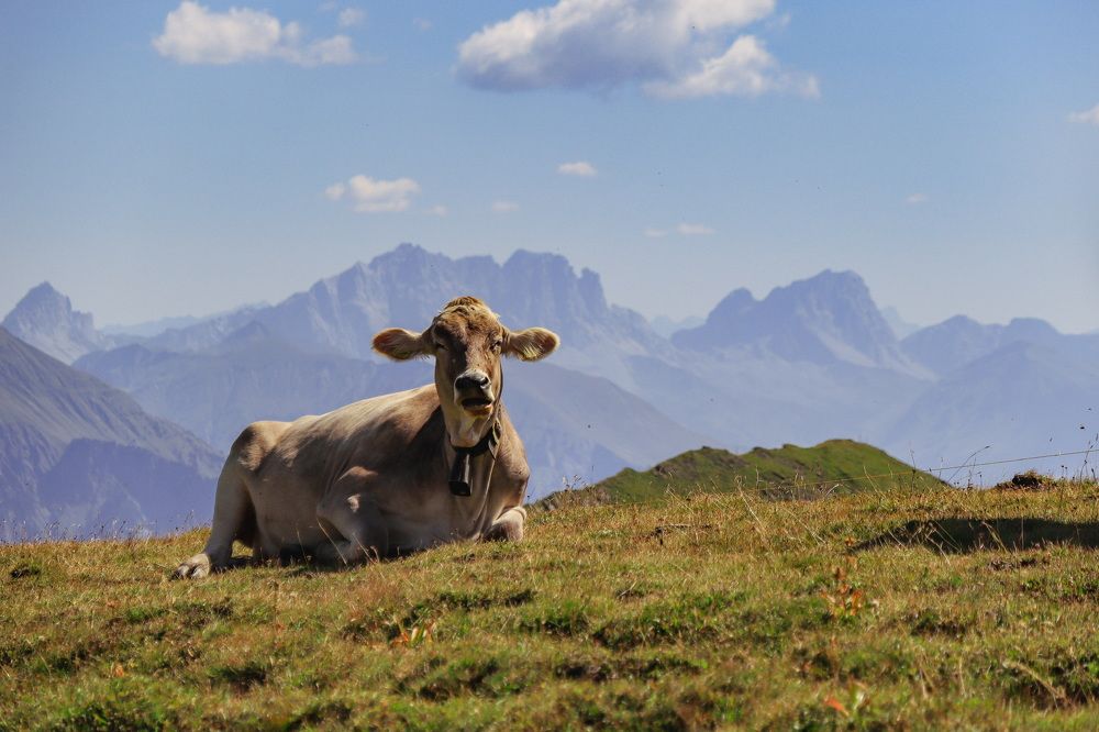 Photograph by Lyudmila Klimanova