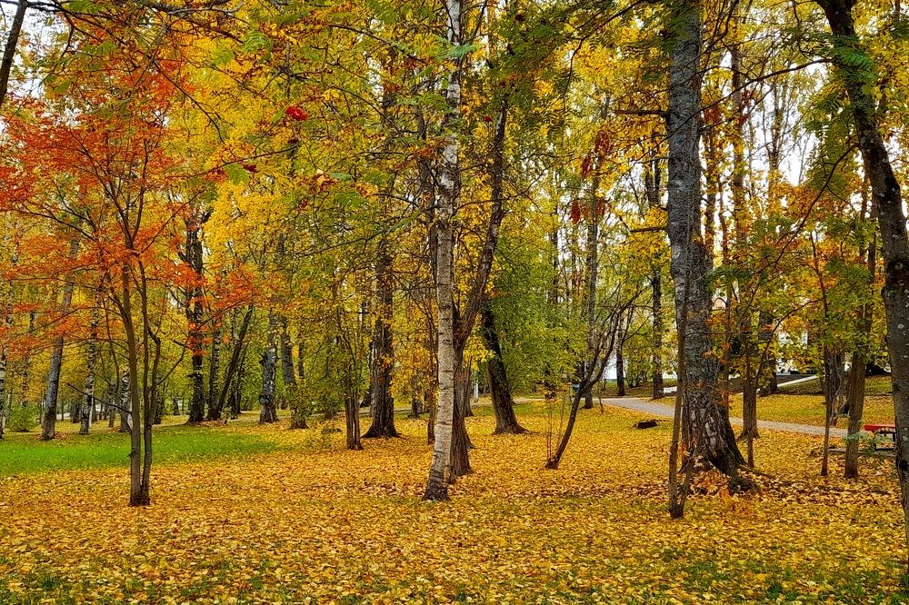 Photograph by Ольга Березовская