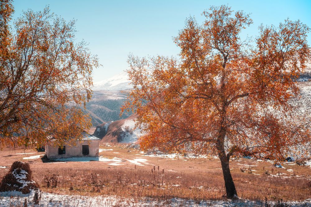 Photograph by Алена Устинович