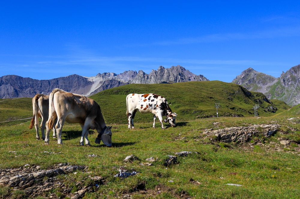 Photograph by Lyudmila Klimanova