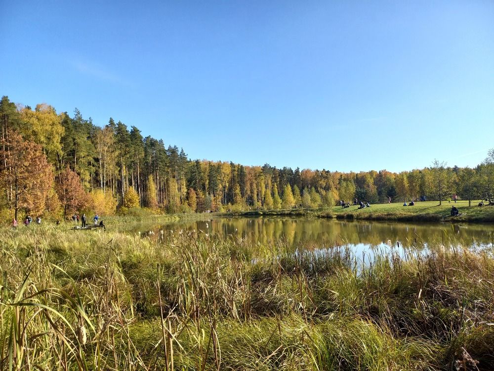 Photograph by Полина Зуева