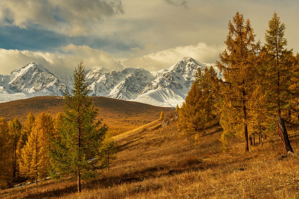 Осенний пейзаж