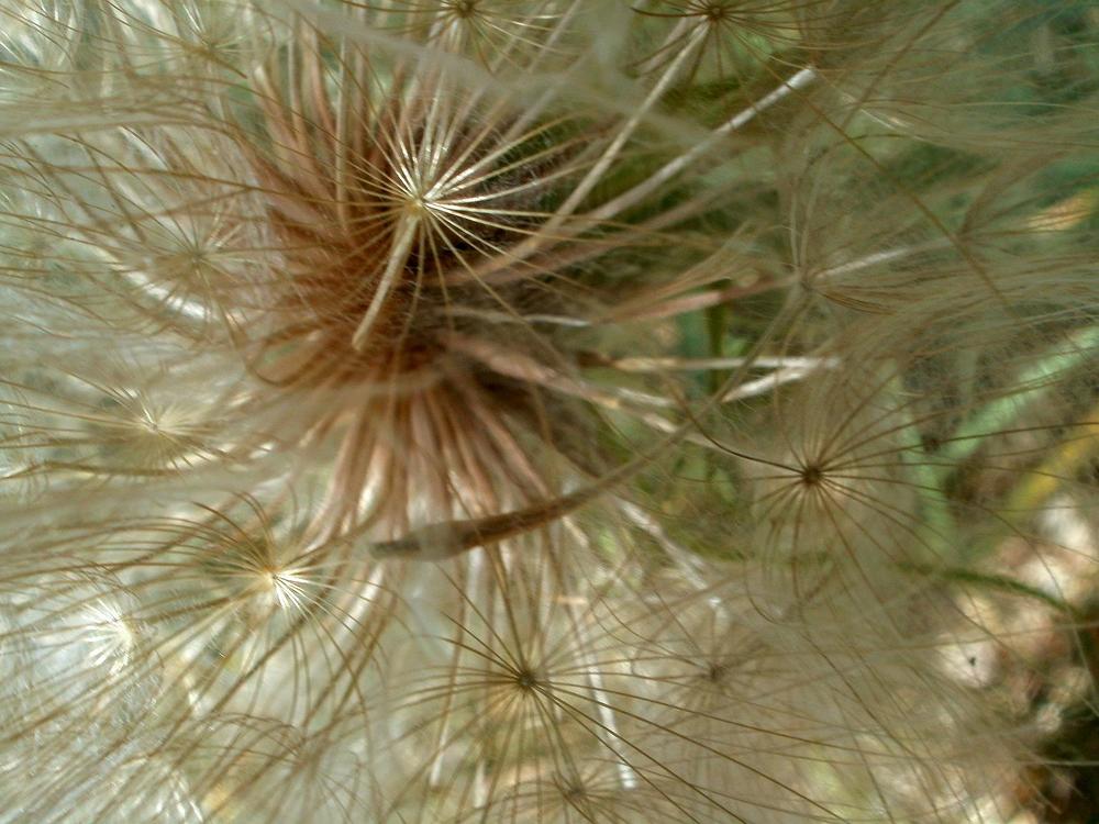 Photograph by Fantomas