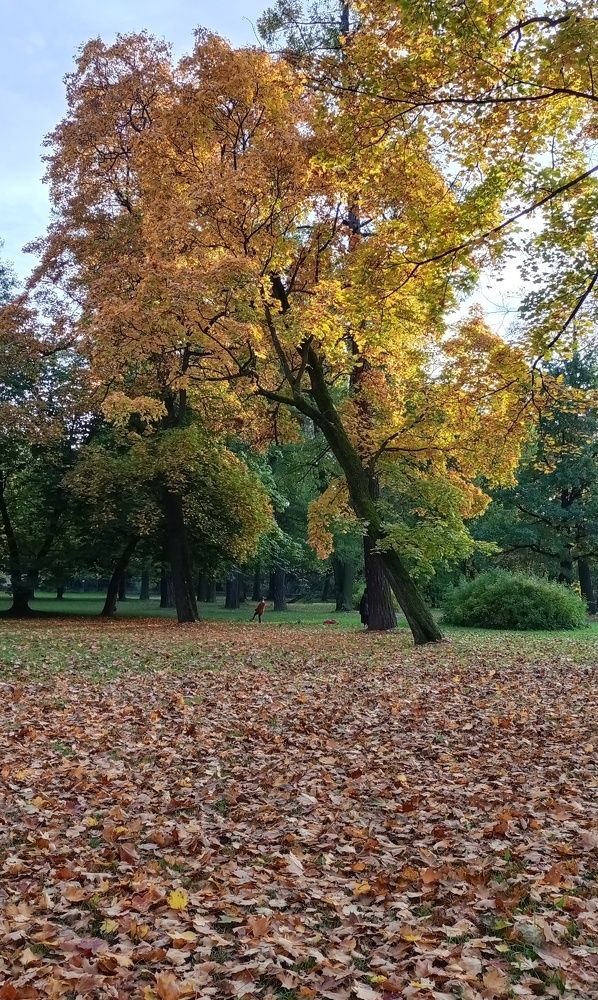 Photograph by Людмила Викулова