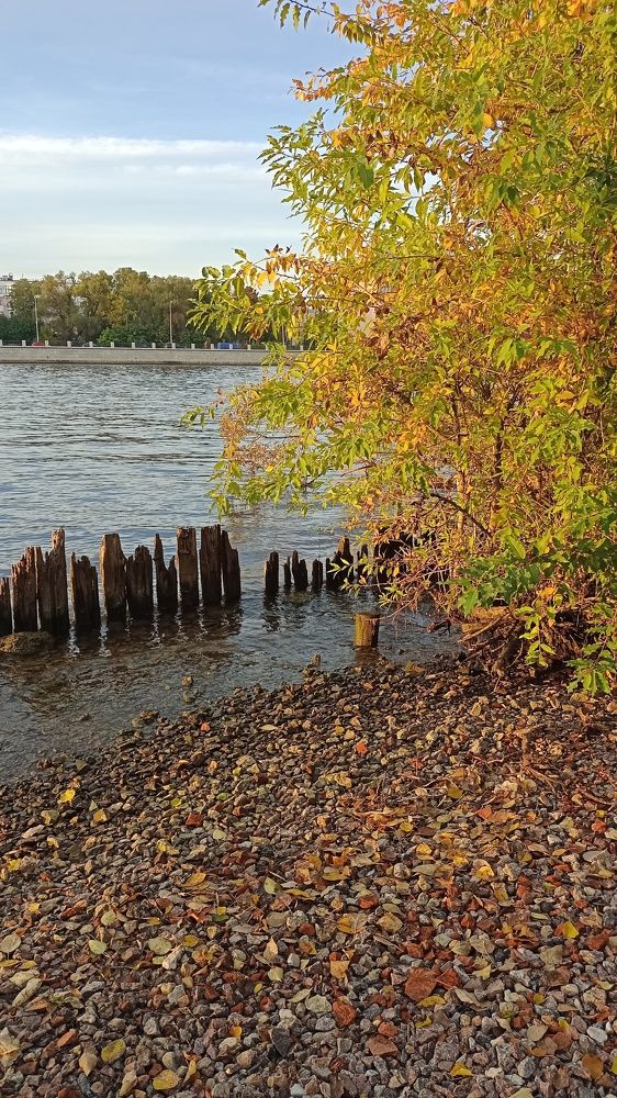 Photograph by Людмила Викулова