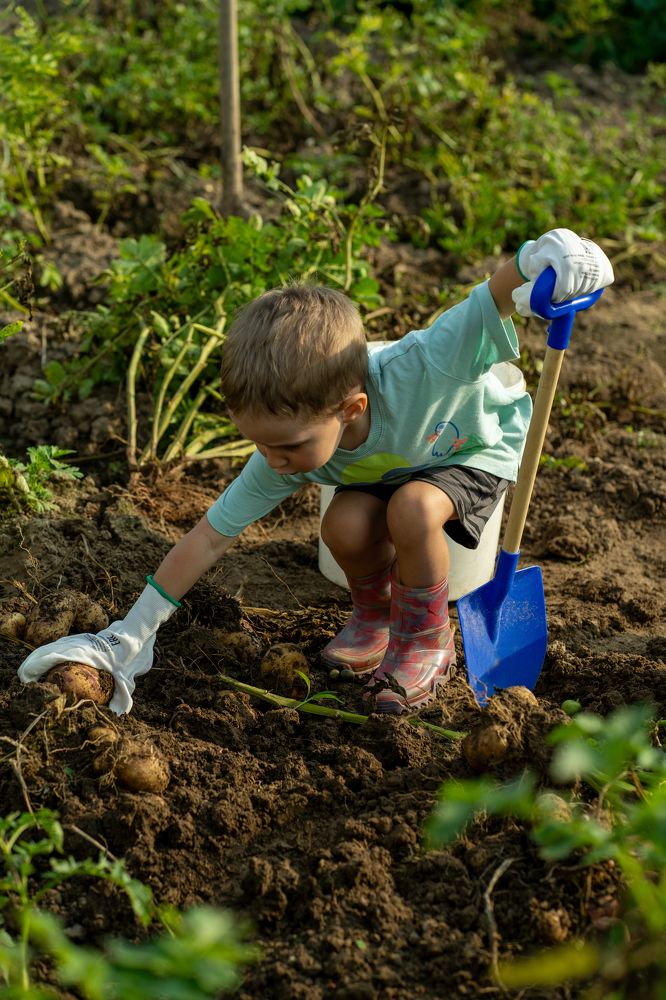 Photograph by Галина Искандарова