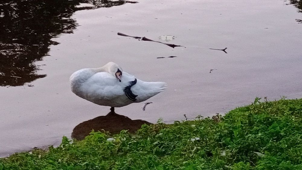 Photograph by Людмила Викулова