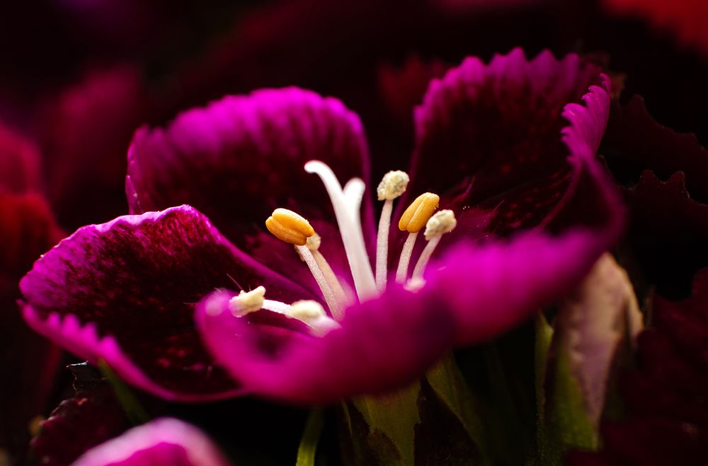 Photograph by Sahar Jafari