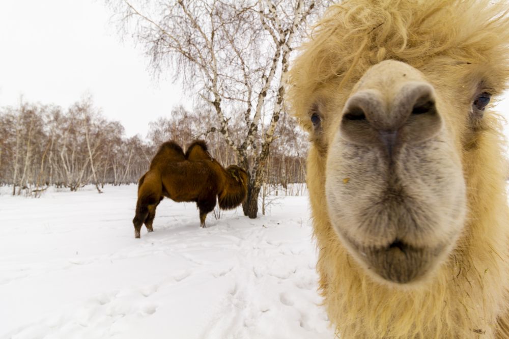 Photograph by Кутний Игорь