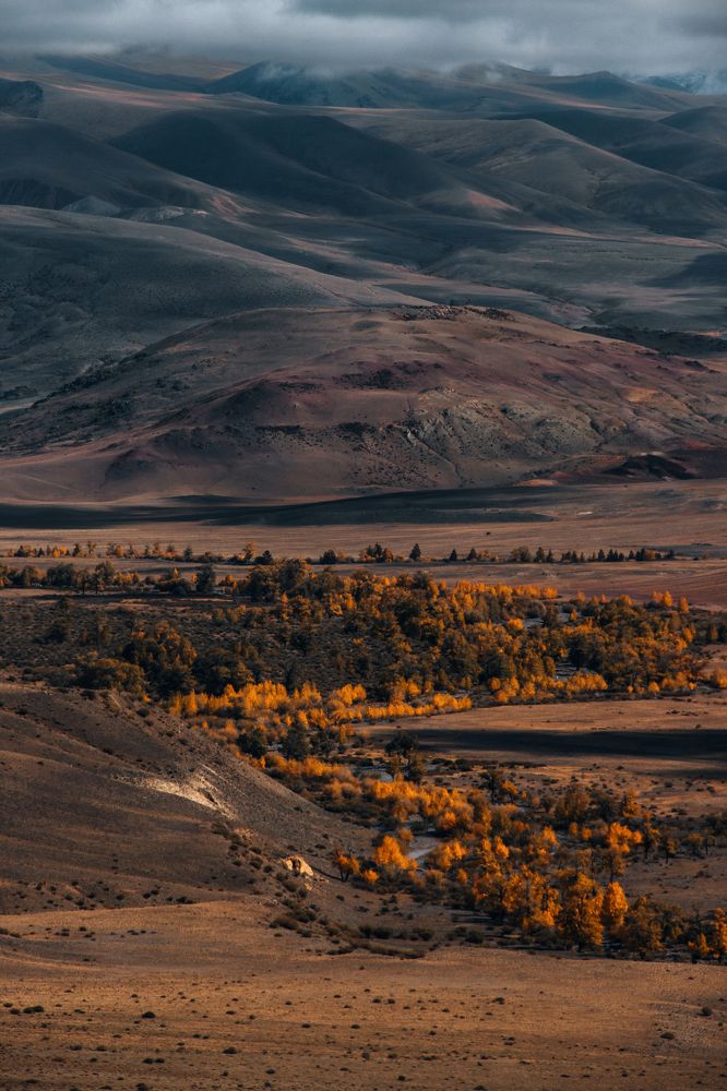 Photograph by Ярослав Чаадаев