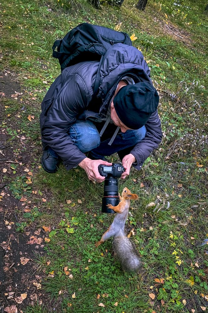 Photograph by Кутний Игорь