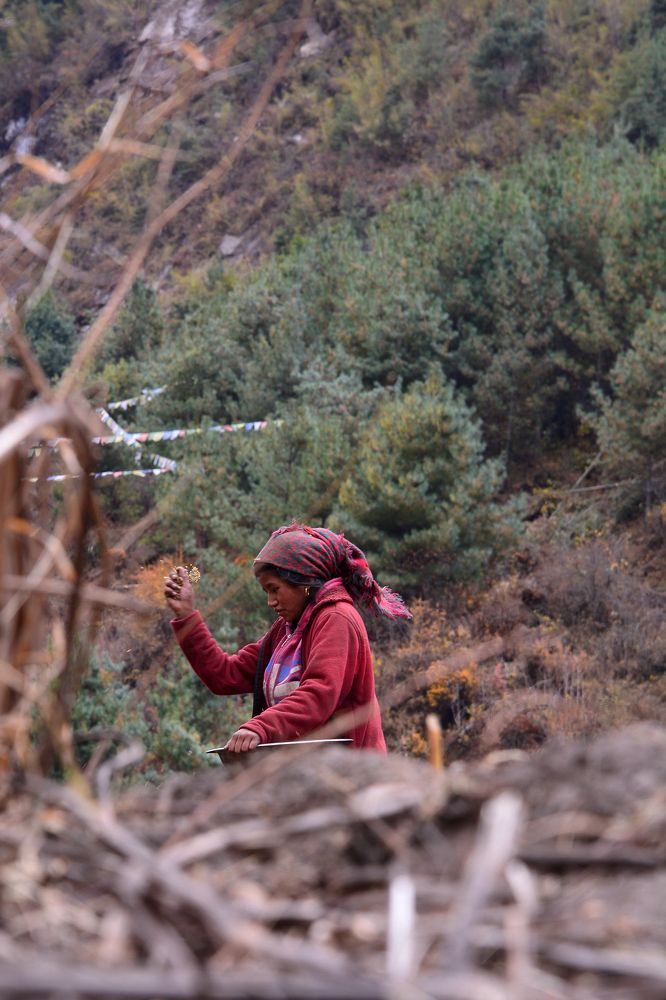 Photograph by Анатолий Орлов