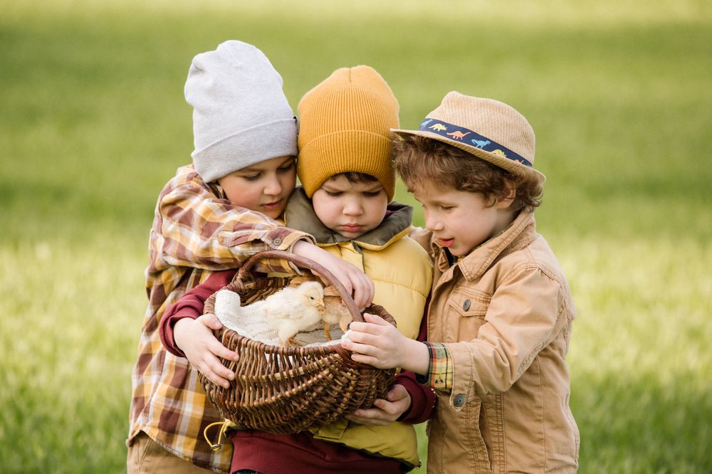 Photograph by Мария Торговцева