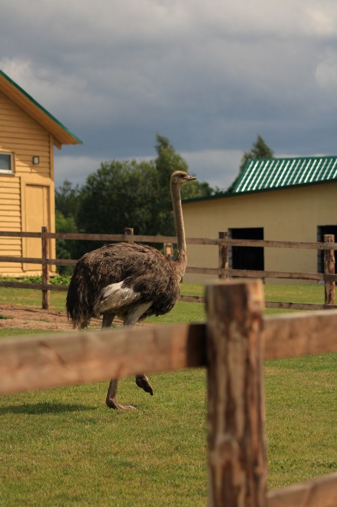 Photograph by Ангелина Высочина