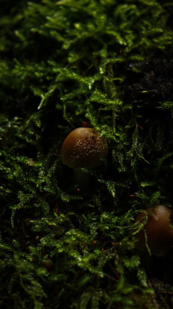 Photograph by Даниил Сырбу