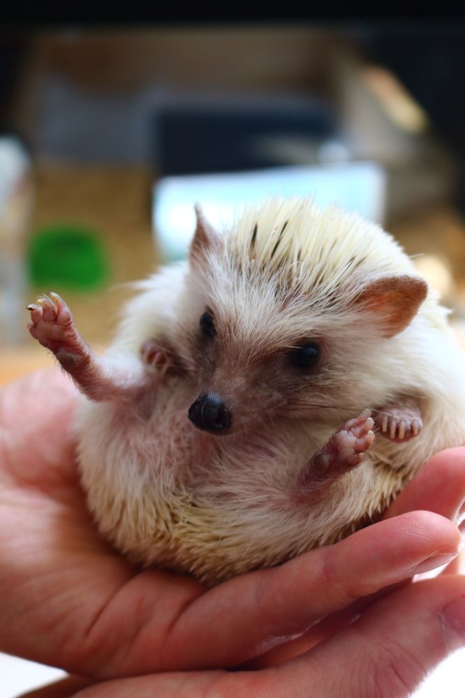 Photograph by Светлана Шуткова