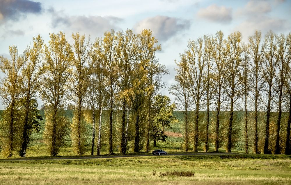 Photograph by Alexandra Chalova