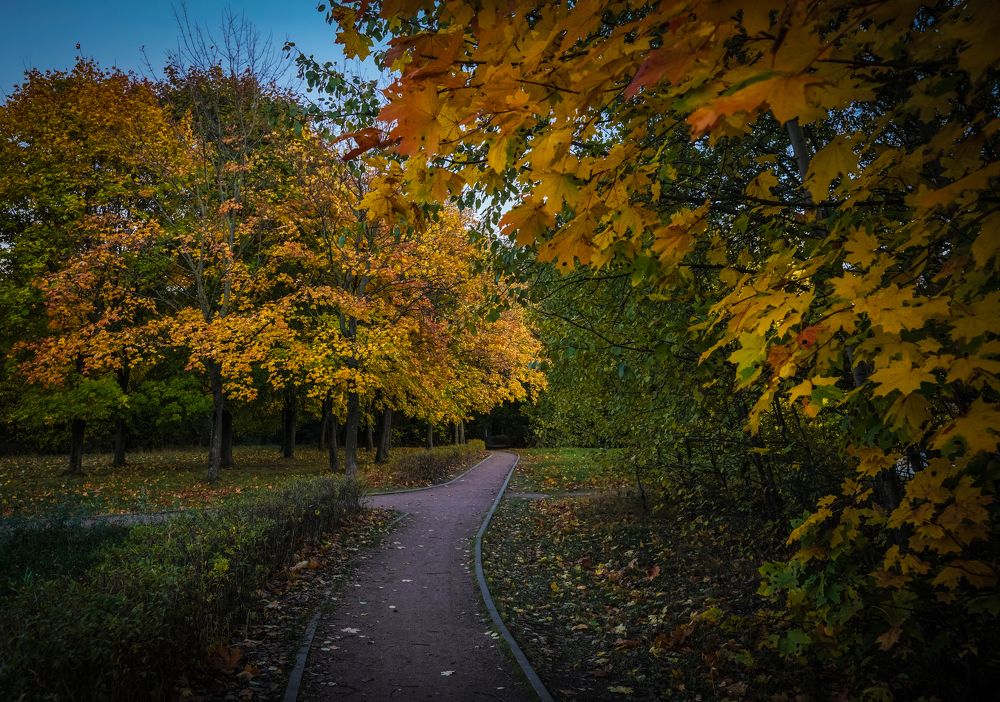 Photograph by Владимир Орлов
