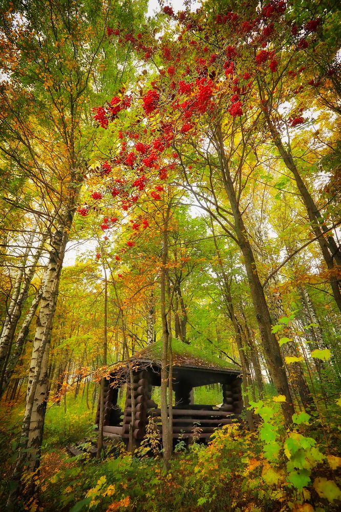 Photograph by Наталья Суслова