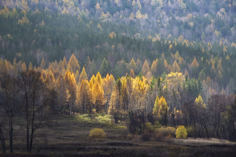 Photograph by Ольга Глухарёва